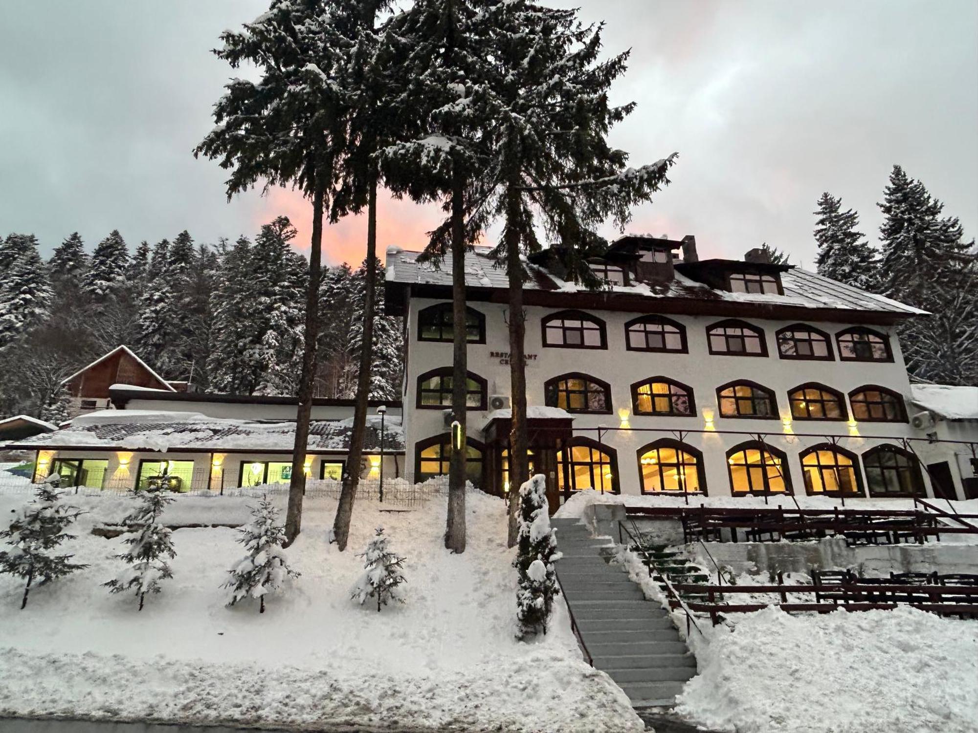Cerbul Chalet Accommodation & Wellness Rîşnov 外观 照片
